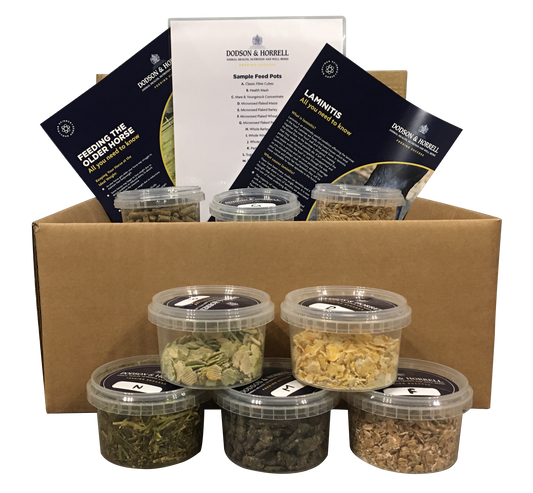 Dodson & Horrell Pony Club Pots